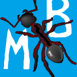 Witam na moim Myrmeblogu