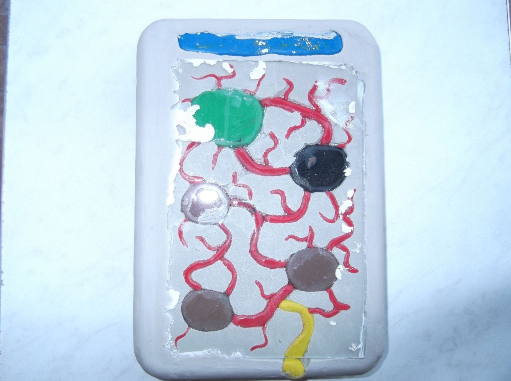 Formikarium gipsowe