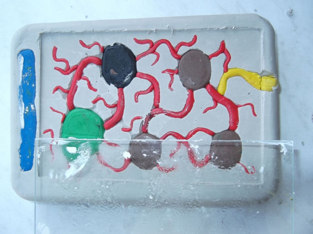 Formikarium gipsowe