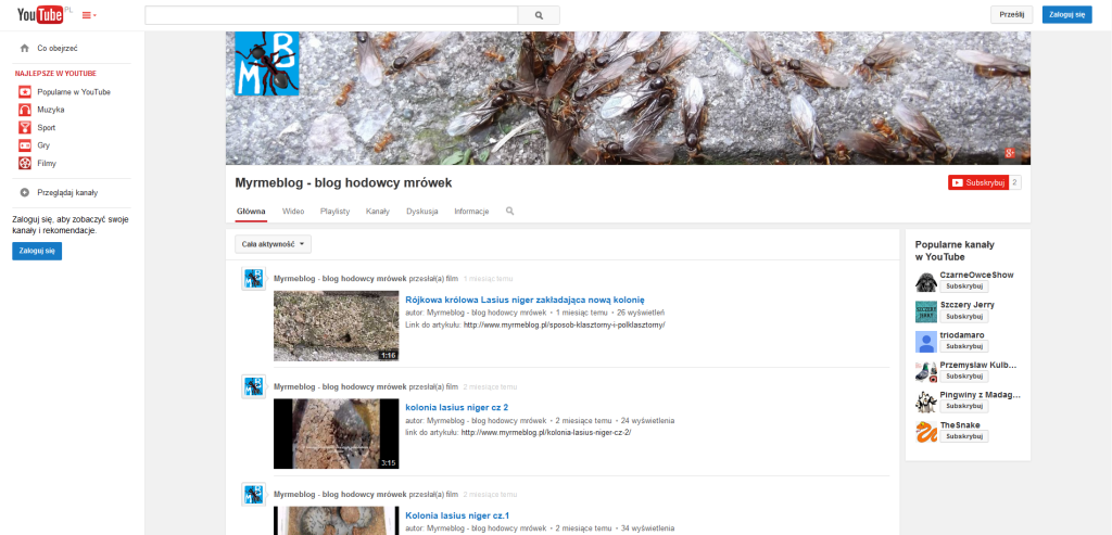 Myrmeblog