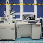 Mrówki w mikroskopie skaningowym