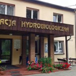 Warsztaty myrmekologiczne