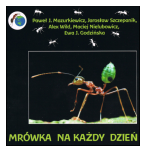 Mrówka na każdy dzień