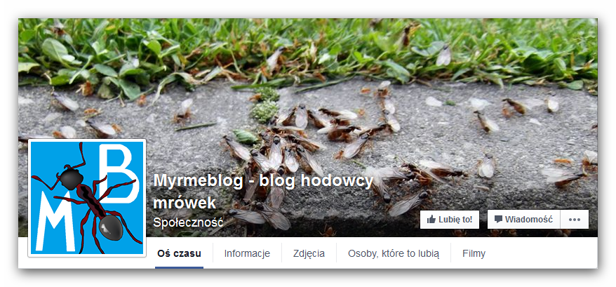 Myrmeblog