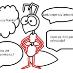 Szybka lekcja na temat łacińskich nazw mrówek