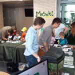 Relacja z Dni Owada 2016 cz. 1