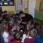 Zajęcia z mrówkami w przedszkolu