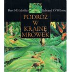 Podróż w krainę mrówek