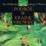 Podróż w krainę mrówek