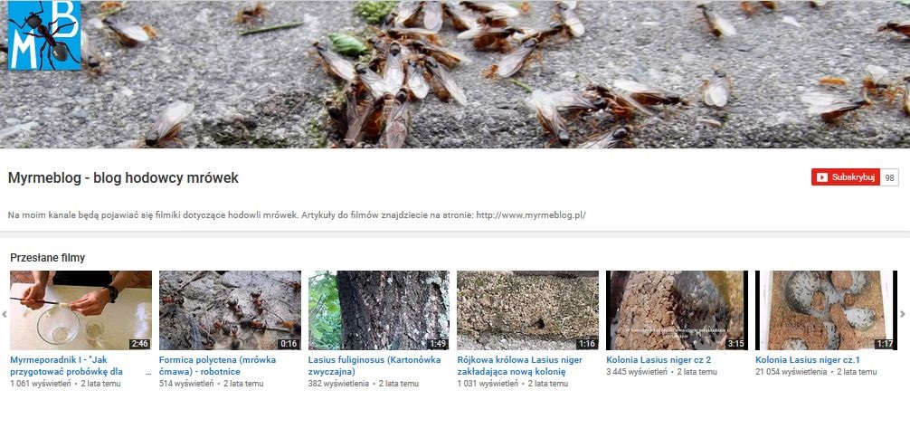 Trzecie urodziny Myrmebloga