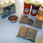 Czym i jak karmić mrówki?