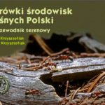 Mrówki środowisk leśnych Polski