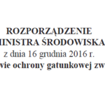 Ochrona gatunkowa mrówek w Polsce