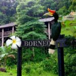Lecę w tropiki na Borneo badać mrówki!