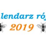 Kalendarz rójek 2019