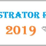 Rejestrator rójek 2019