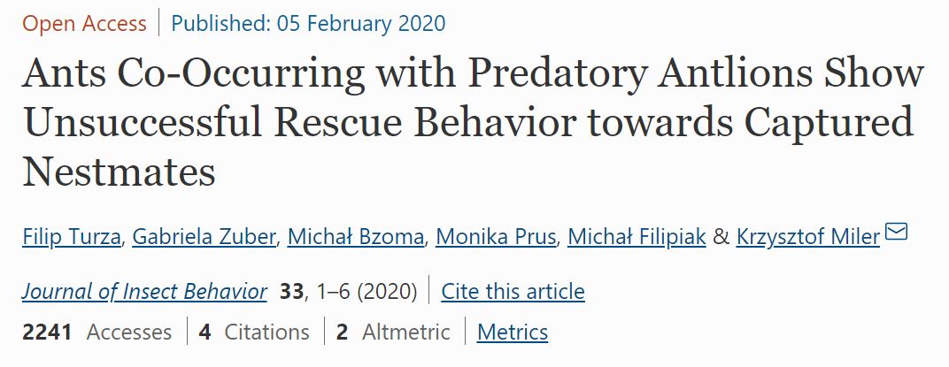 Ants Co-Occurring with Predatory Antlions Show Unsuccessful Rescue Behavior towards Captured Nestmates