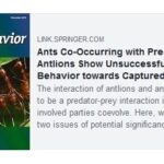 Pierwsza publikacja naukowa o mrówkach!