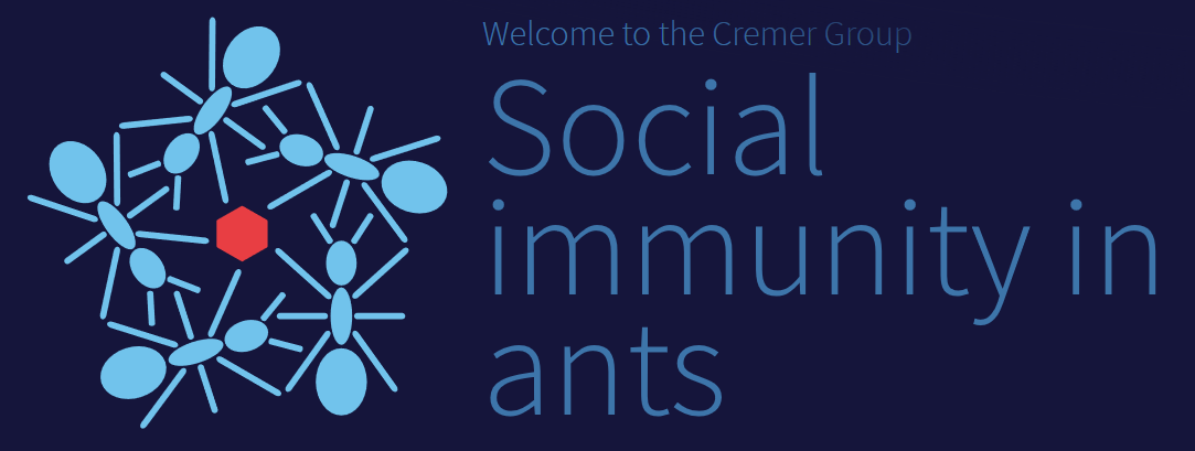 Social immunity in ants