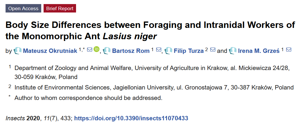 Body Size Differences between Foraging and Intranidal Workers of the Monomorphic Ant Lasius niger