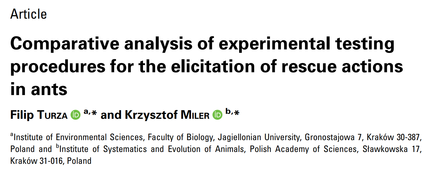 Comparative analysis of experimental testing procedures for the elicitation of rescue actions in ants