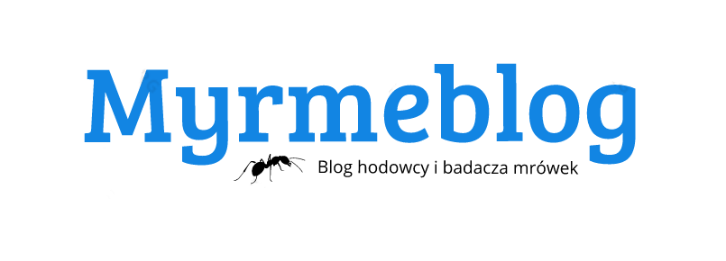 Myrmeblog - blog hodowcy i badacza mrówek
