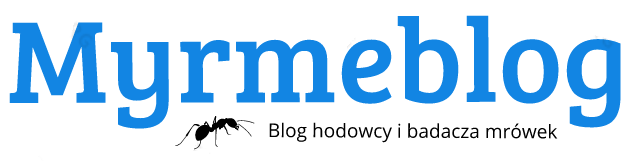 Myrmeblog - blog hodowcy i badacza mrówek