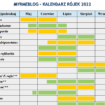 Kalendarz rójek 2022