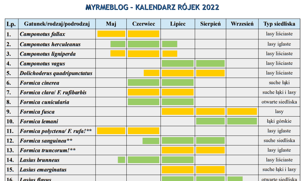 Kalendarz rójek 2022
