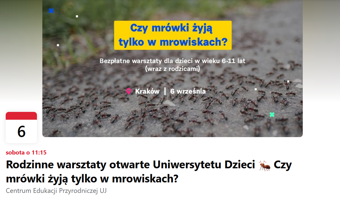 Czy mrówki żyją tylko w mrowiskach?