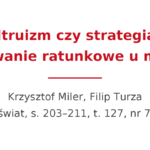 Altruizm czy strategia? Zachowanie ratunkowe u mrówek
