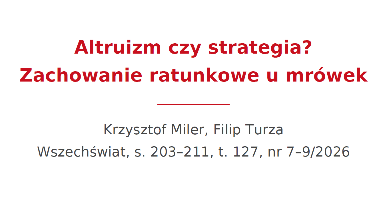 Altruizm czy strategia? Zachowanie ratunkowe u mrówek Altruizm czy strategia? Zachowanie ratunkowe u mrówek